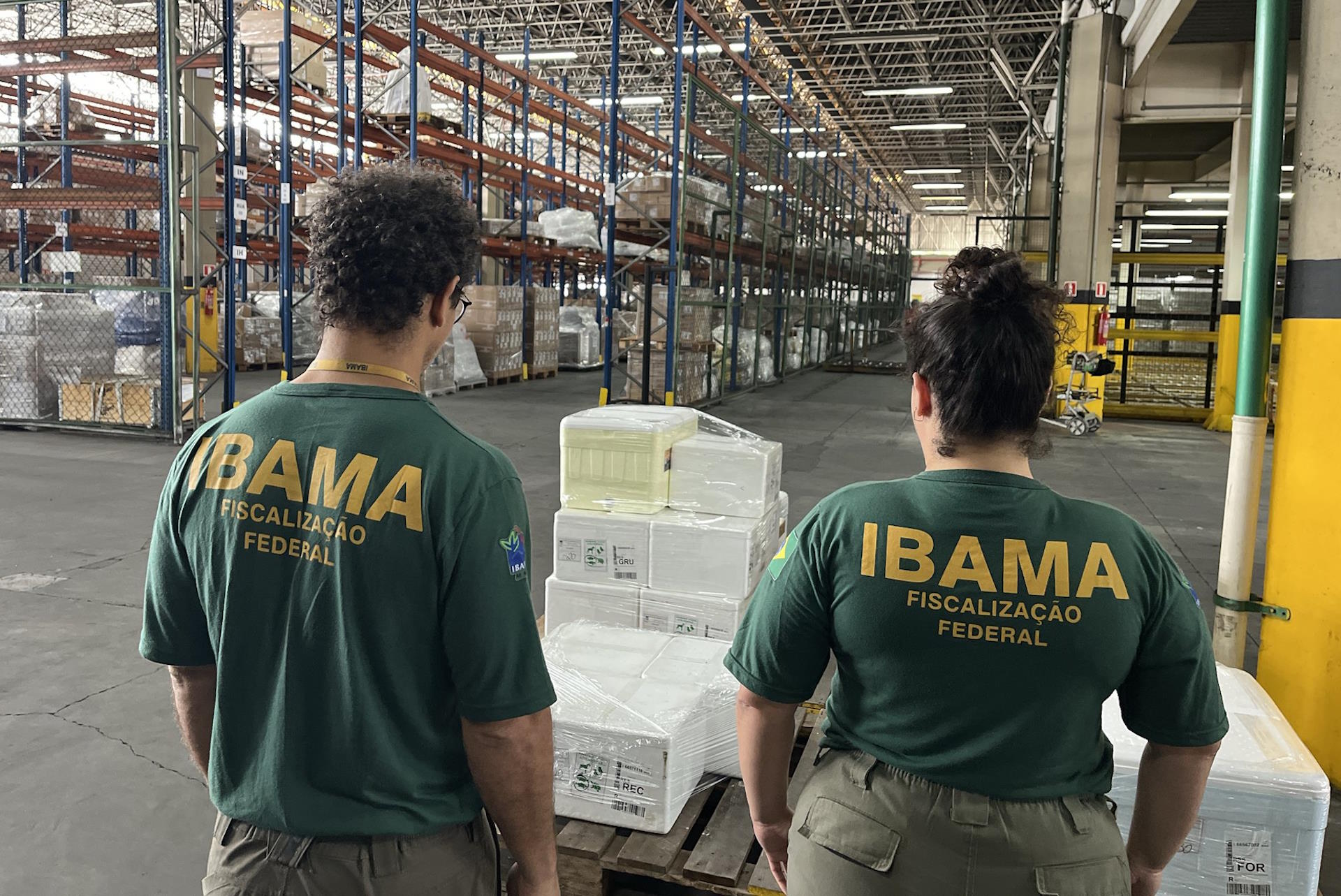 Inscrições para o concurso do Ibama vão até 18 de fevereiro Inscrições para o concurso do Ibama vão até 18 de fevereiro