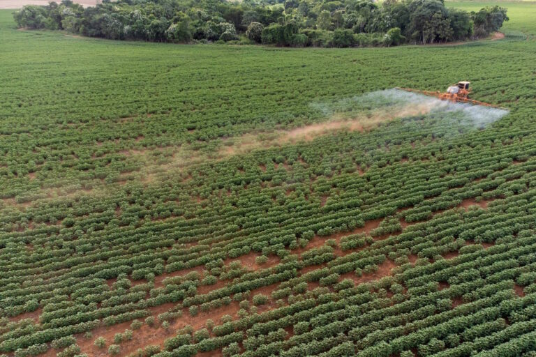 Até os primeiros parques nacionais estão contaminados por agrotóxicos
