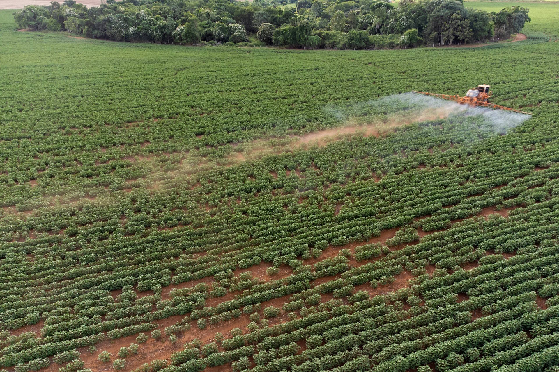 Até os primeiros parques nacionais estão contaminados por agrotóxicos Até os primeiros parques nacionais estão contaminados por agrotóxicos