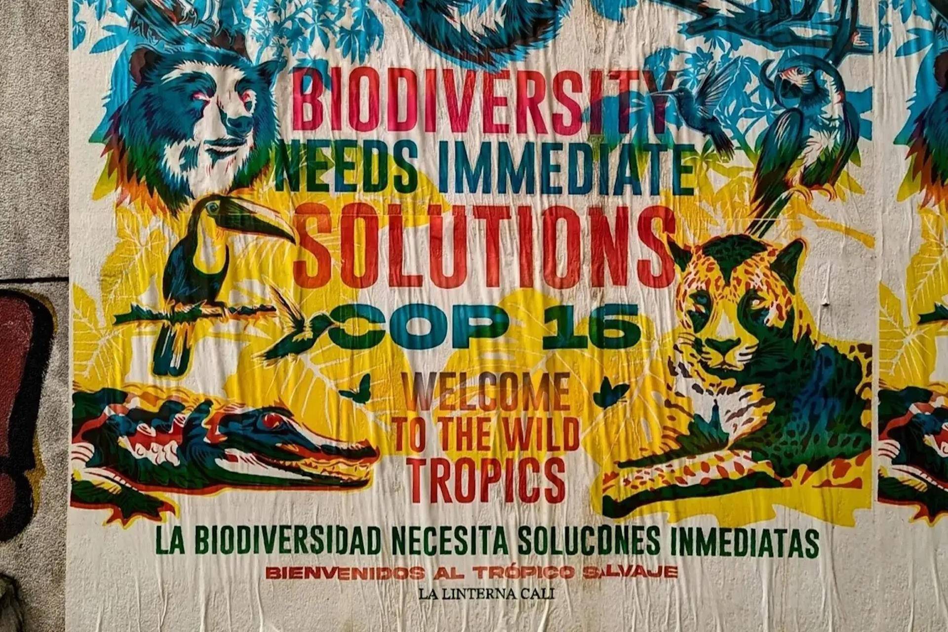 COP16.2 – Financiamento da biodiversidade avança, mas ainda faltam recursos COP16.2 – Financiamento da biodiversidade avança, mas ainda faltam recursos