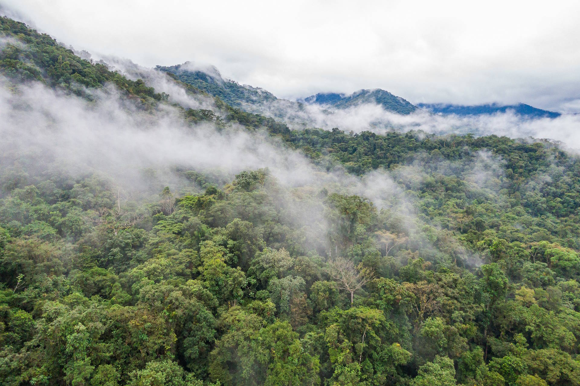 O direito dos Mbya Guarani de manejar seu território sobreposto pela Rebio Bom Jesus O direito dos Mbya Guarani de manejar seu território sobreposto pela Rebio Bom Jesus