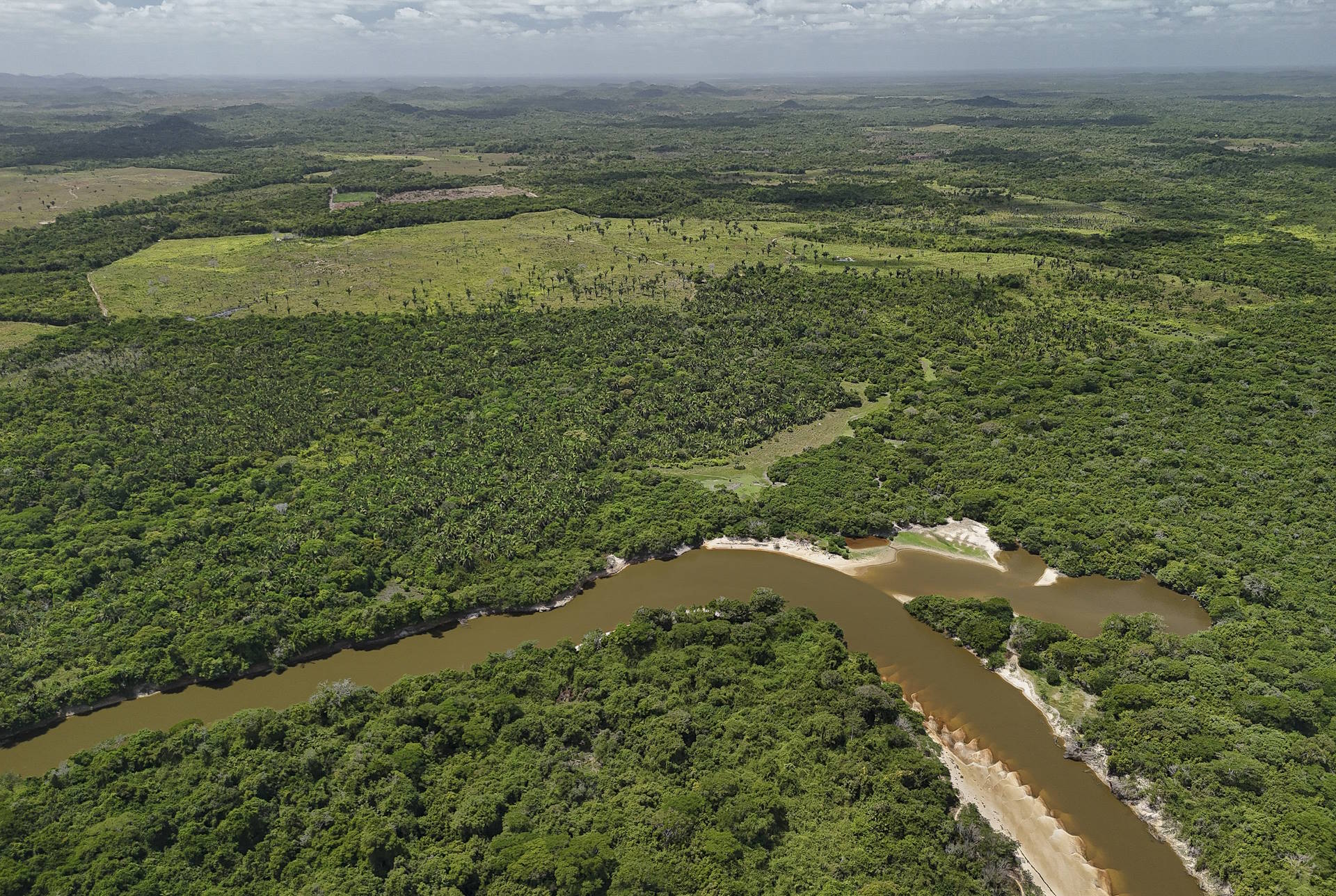 Desmatamento na Amazônia alcança menor valor da série histórica em fevereiro Desmatamento na Amazônia alcança menor valor da série histórica em fevereiro