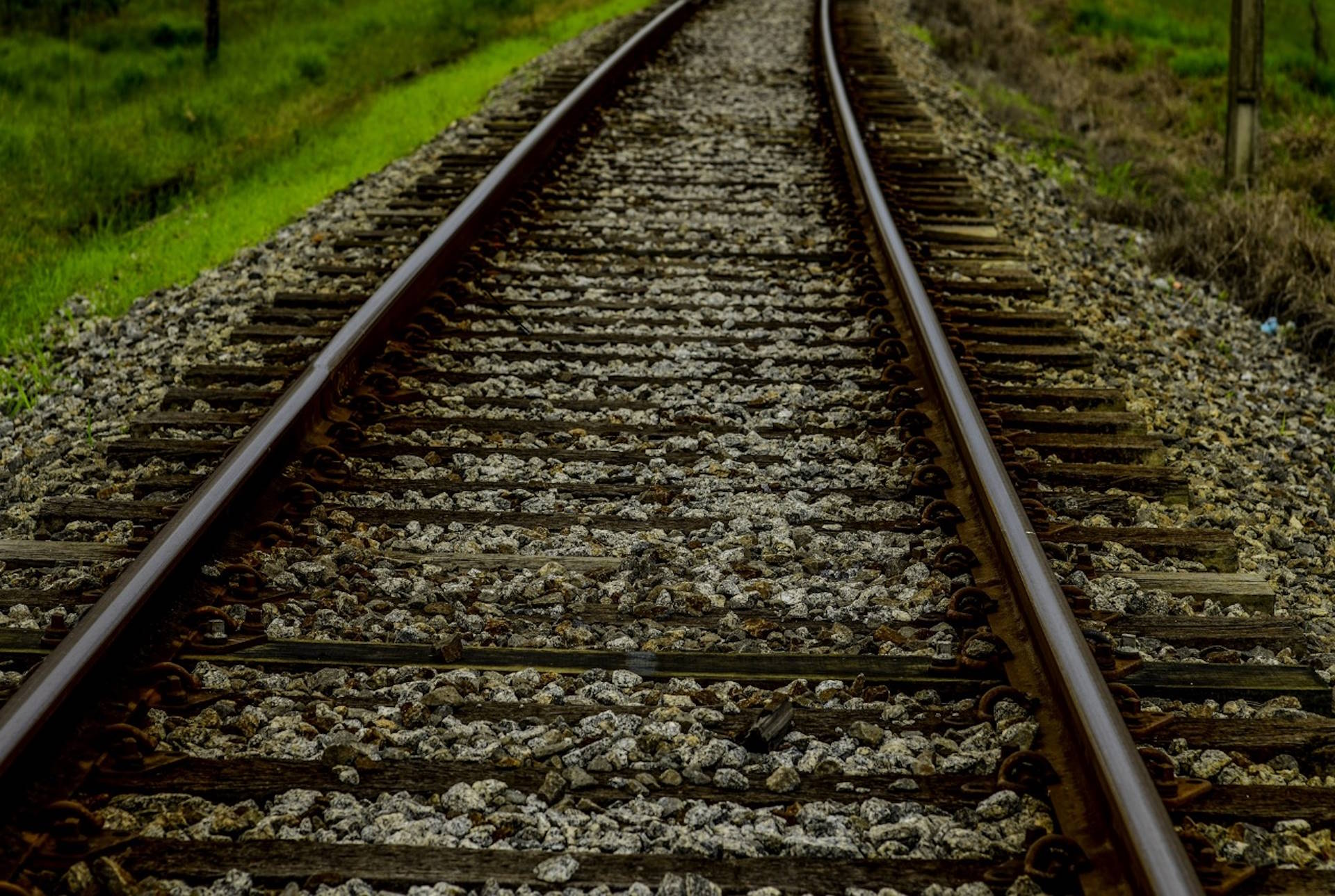 Estudo sobre Ferrogrão contém falhas na análise de desmatamento Estudo sobre Ferrogrão contém falhas na análise de desmatamento