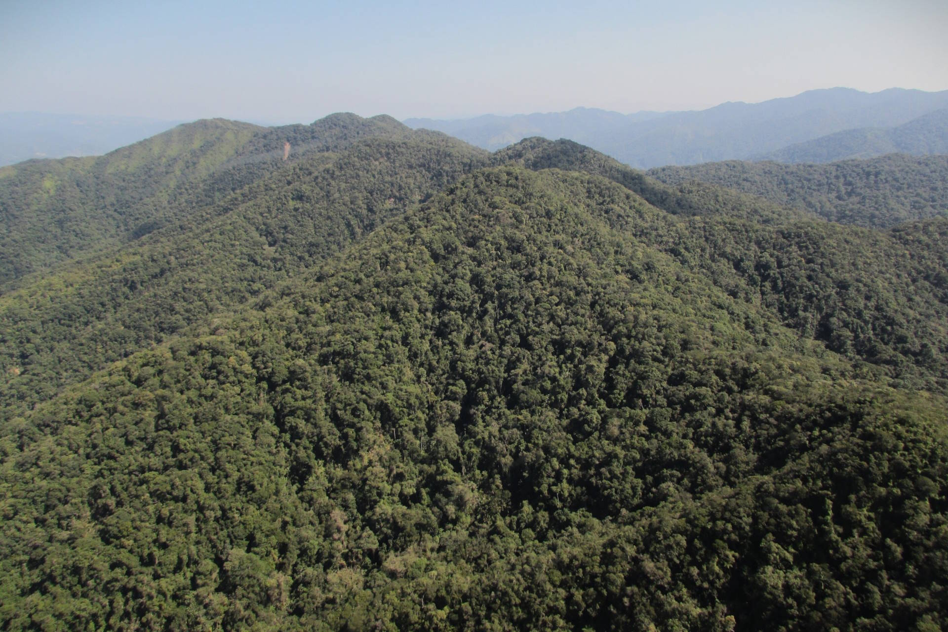 Enquete mantém alta rejeição a rebaixamento da Serra do Itajaí de parque para floresta nacional Enquete mantém alta rejeição a rebaixamento da Serra do Itajaí de parque para floresta nacional