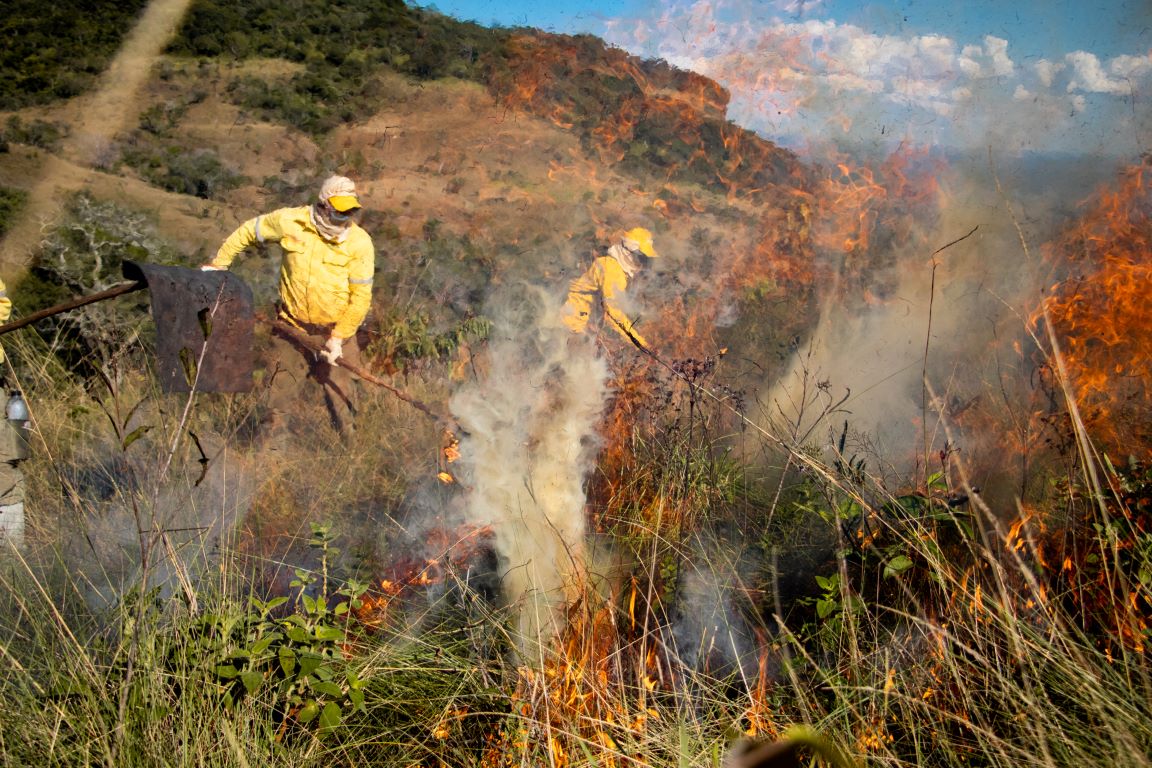 Governo confirma mobilização de 4.600 brigadistas para combate ao fogo no Brasil em 2025 Governo confirma mobilização de 4.600 brigadistas para combate ao fogo no Brasil em 2025