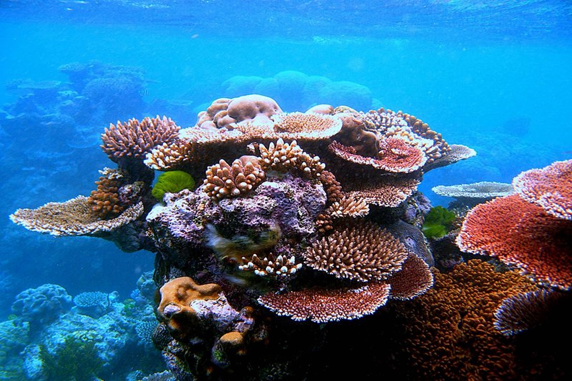 Lei do Mar: o compromisso com o oceano e o clima é agora Lei do Mar: o compromisso com o oceano e o clima é agora