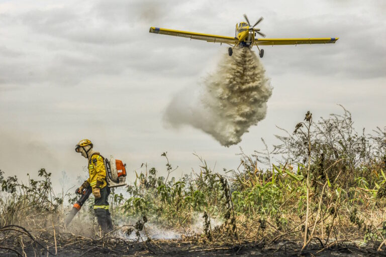 Terras alvo de desmates e incêndios criminosos podem ser expropriadas