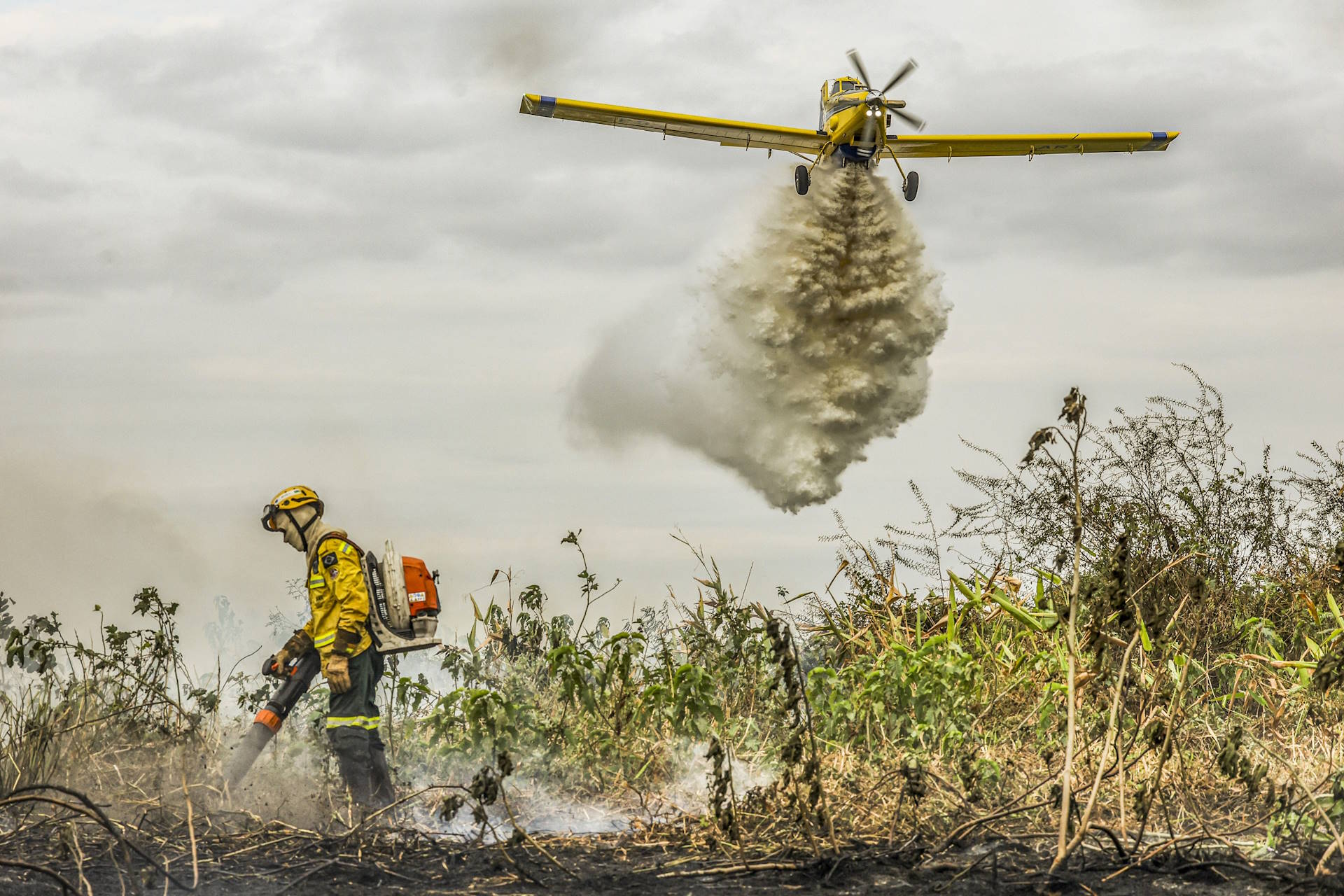 Terras alvo de desmates e incêndios criminosos podem ser expropriadas Terras alvo de desmates e incêndios criminosos podem ser expropriadas