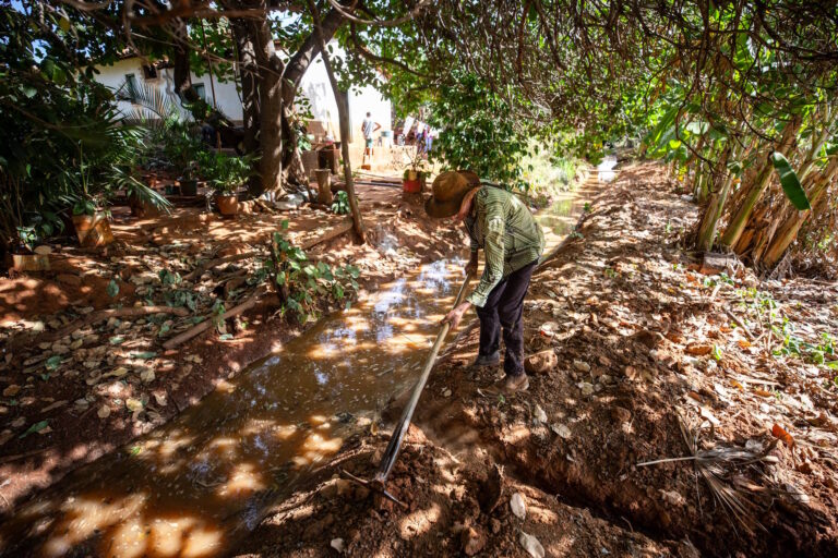 Como comunidades de fecho de pasto conservam o Cerrado no oeste baiano