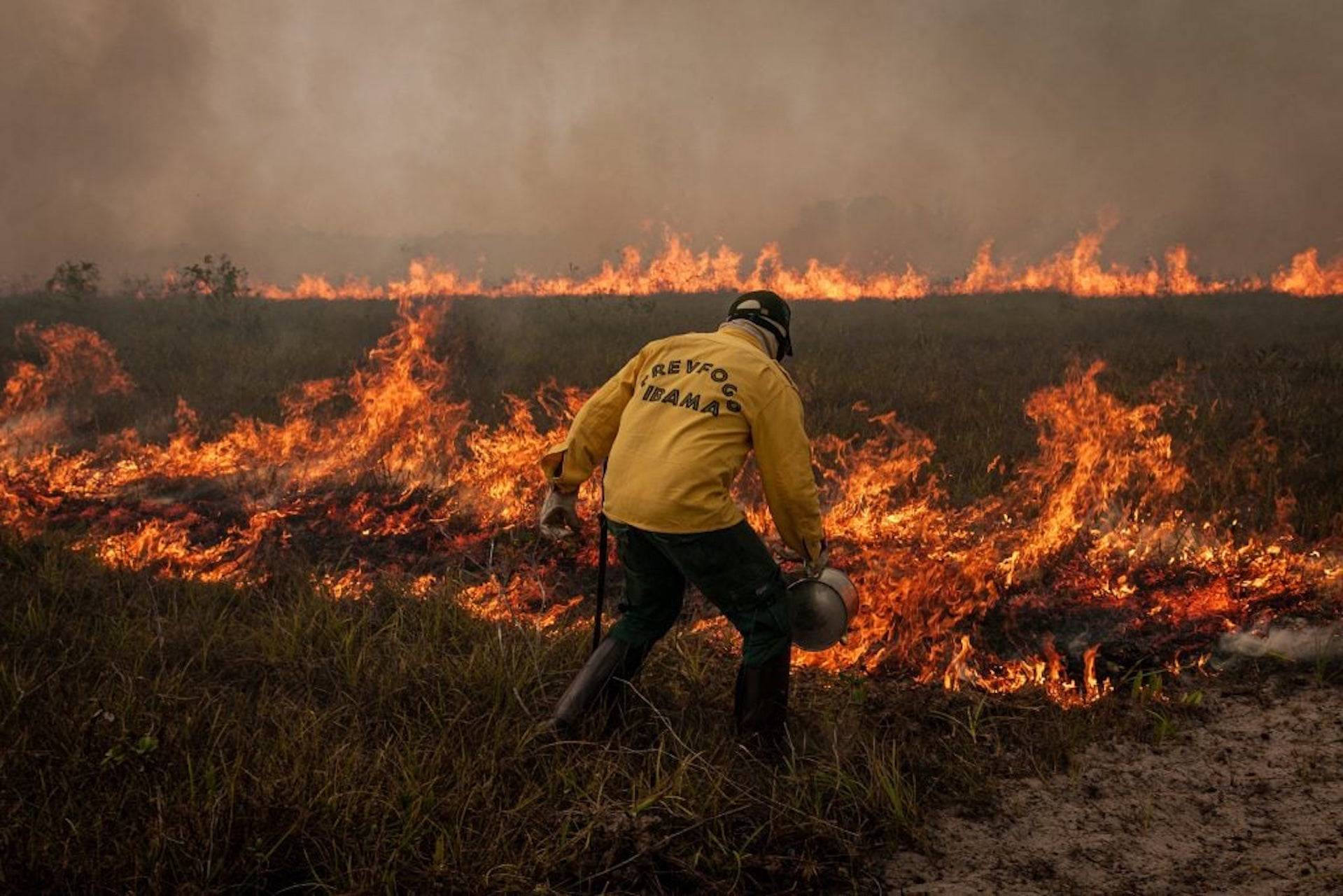 Degradação da Amazônia cresce 163% em dois anos, enquanto desmatamento cai 54% no mesmo período Degradação da Amazônia cresce 163% em dois anos, enquanto desmatamento cai 54% no mesmo período