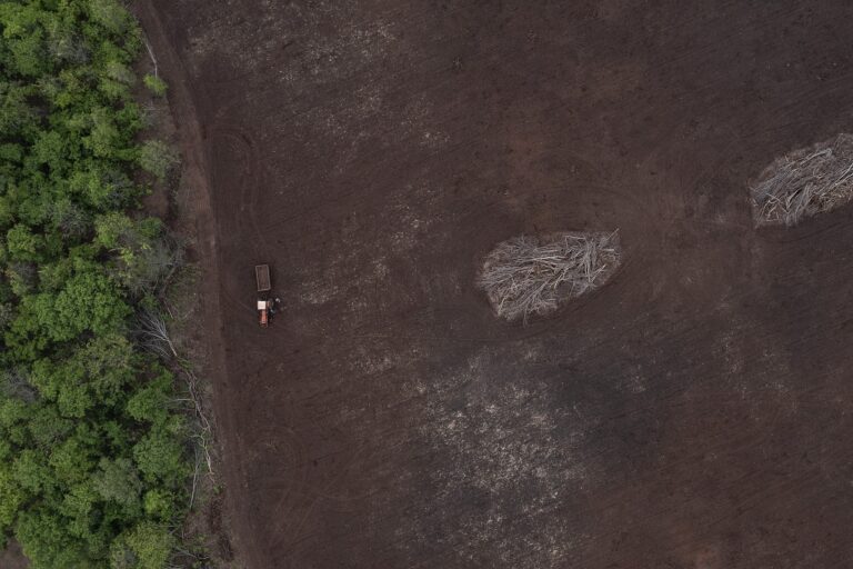 Legalidade de megadesmates no Pantanal avança para julgamento no STJ