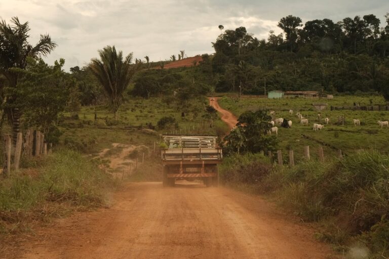 PV questiona no STF lei estadual que flexibiliza proteção ambiental em Rondônia