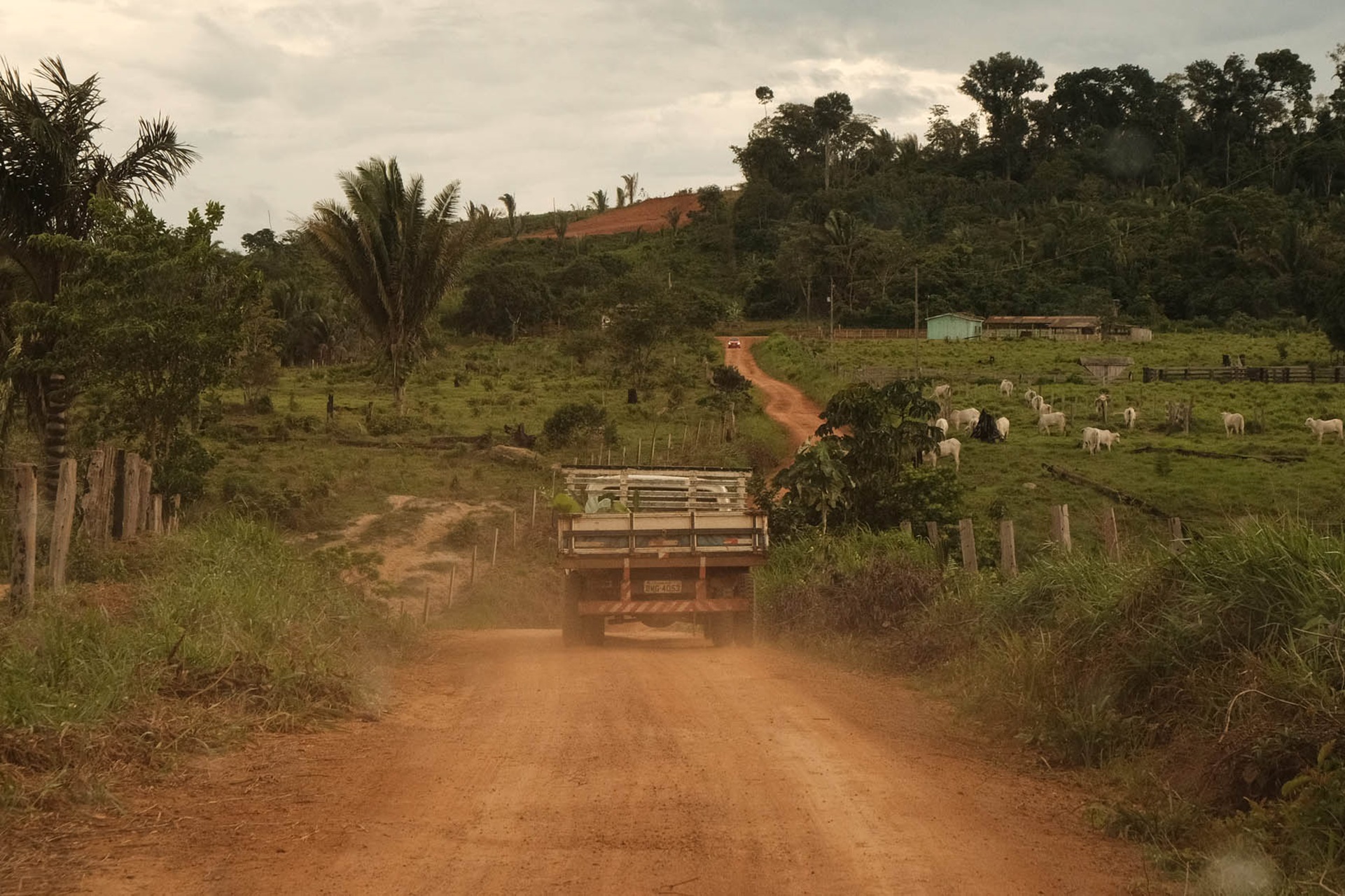 PV questiona no STF lei estadual que flexibiliza proteção ambiental em Rondônia PV questiona no STF lei estadual que flexibiliza proteção ambiental em Rondônia