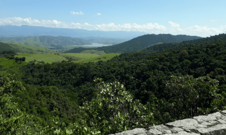 Penedo tudo sobre que você precisa conhecer