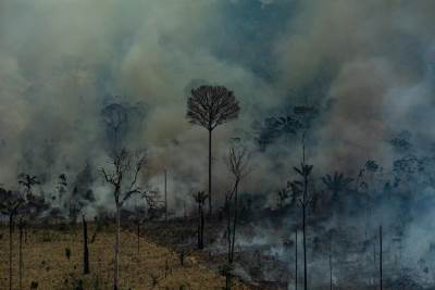 30 milhões de hectares queimaram no Brasil em 2024, valor 62% acima da média 30 milhões de hectares queimaram no Brasil em 2024, valor 62% acima da média