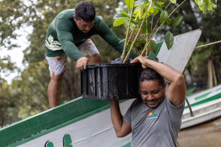 Brasil aposta em mosaicos de conservação para gerir suas vastas florestas