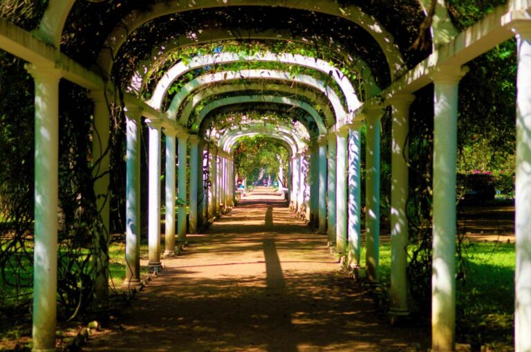 Jardim Botânico do Rio de Janeiro recebe novos servidores públicos