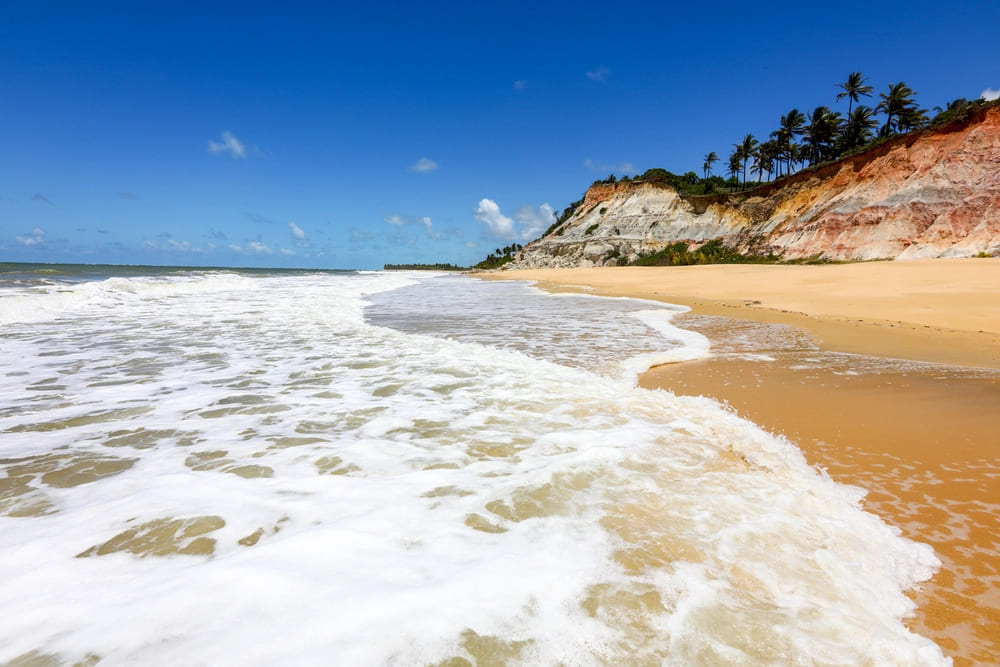 Descubra Trancoso com a Zenon Tour: Experiências Inesquecíveis na Bahia Descubra Trancoso com a Zenon Tour: Experiências Inesquecíveis na Bahia