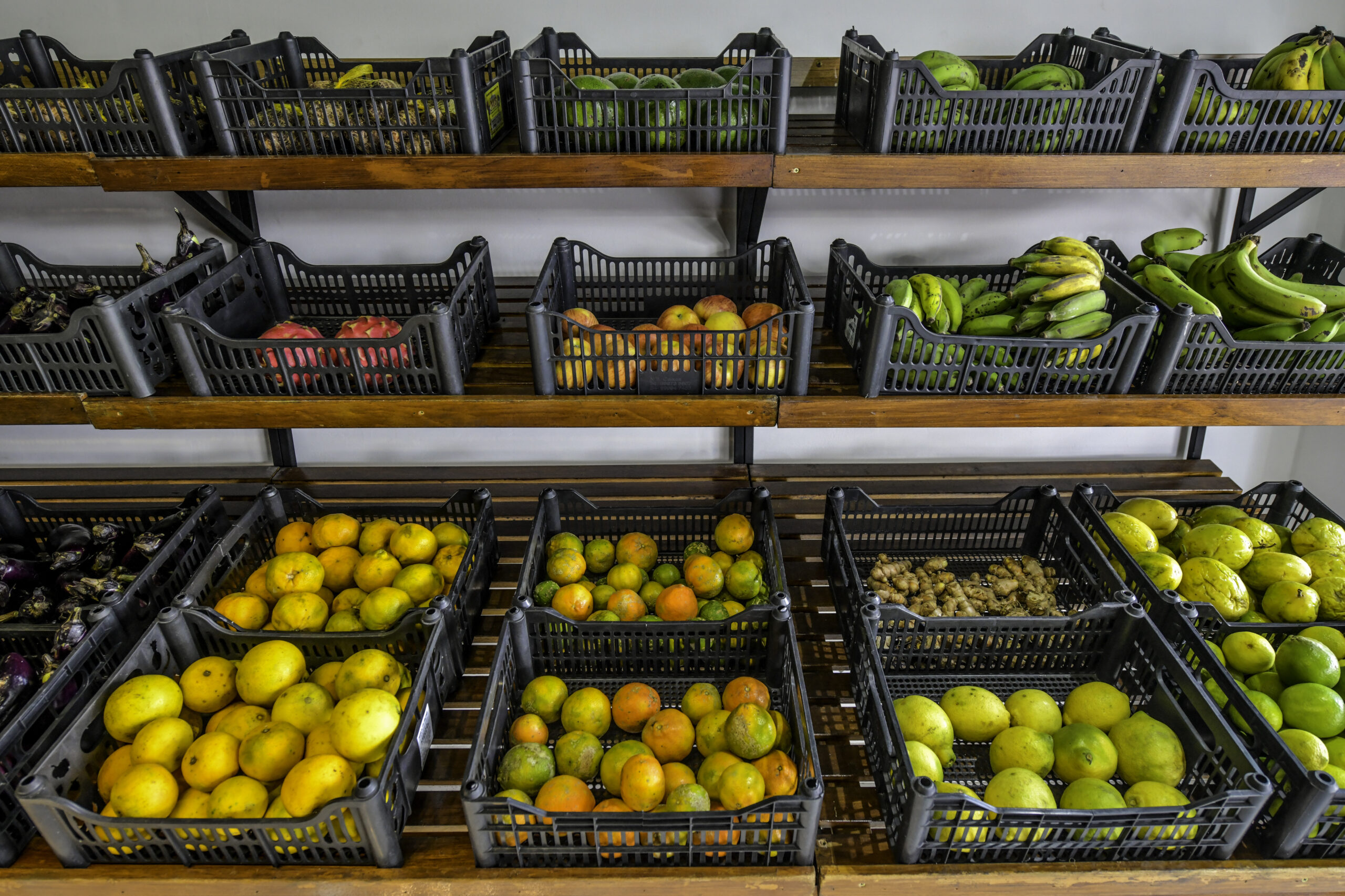 Diálogo e convergência: a chave para um futuro com produção e conservação