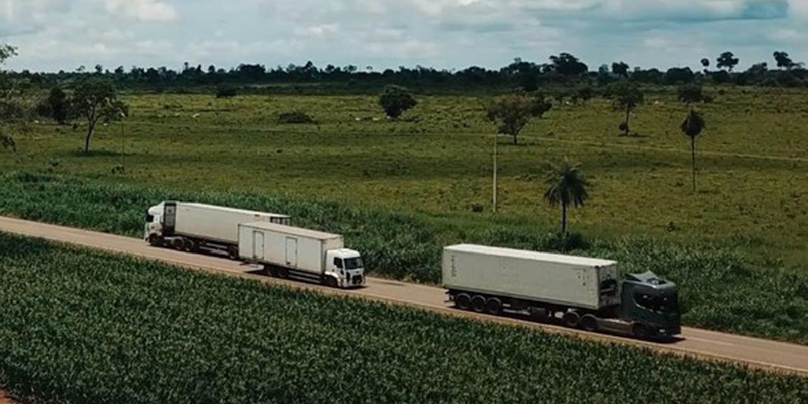 Leilão de concessão da Rota Agro tem deságio de 19,7% no pedágio