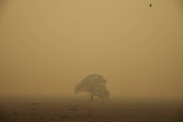 Áreas queimadas em Mato Grosso recuam, mas fogo ainda ameaça áreas protegidas