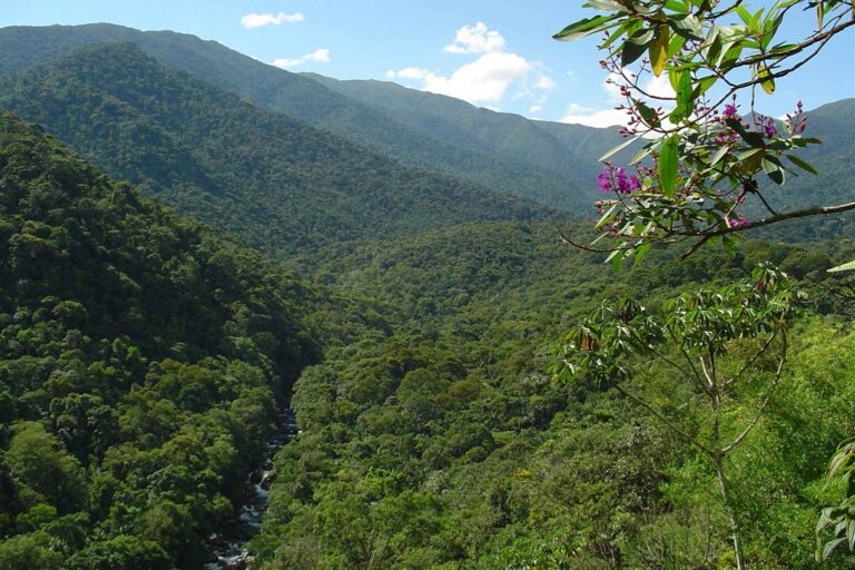 Projeto de lei que reduzia Parque Nacional do Itatiaia é arquivado