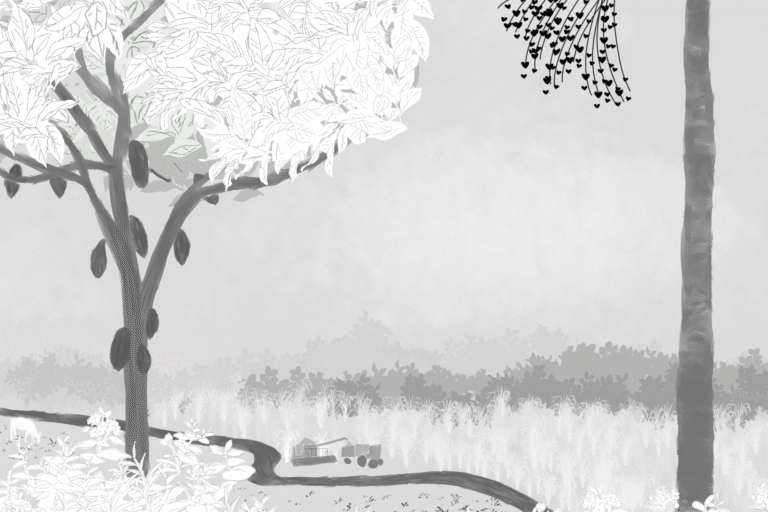 Entre búfalos e arroz, Marajó busca saídas sustentáveis para a crise climática