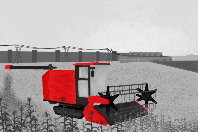 Na Amazônia desmatada, Xingu tenta superar contrastes sociais desde Belo Monte