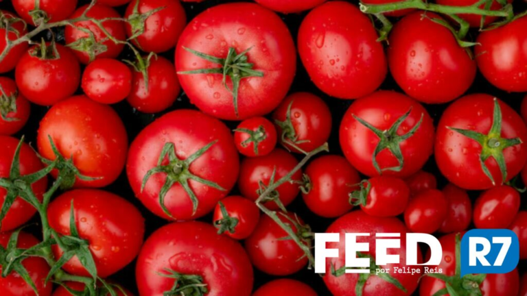 Consumo de tomate pode reduzir risco de pressão alta, diz estudo inédito